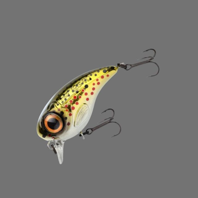 SPRO Fat Iris "Brown Trout"